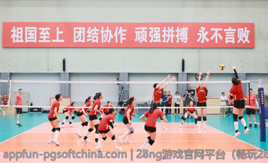 28ng游戏官网平台（畅玩28ng游戏官网平台的顶级游戏）